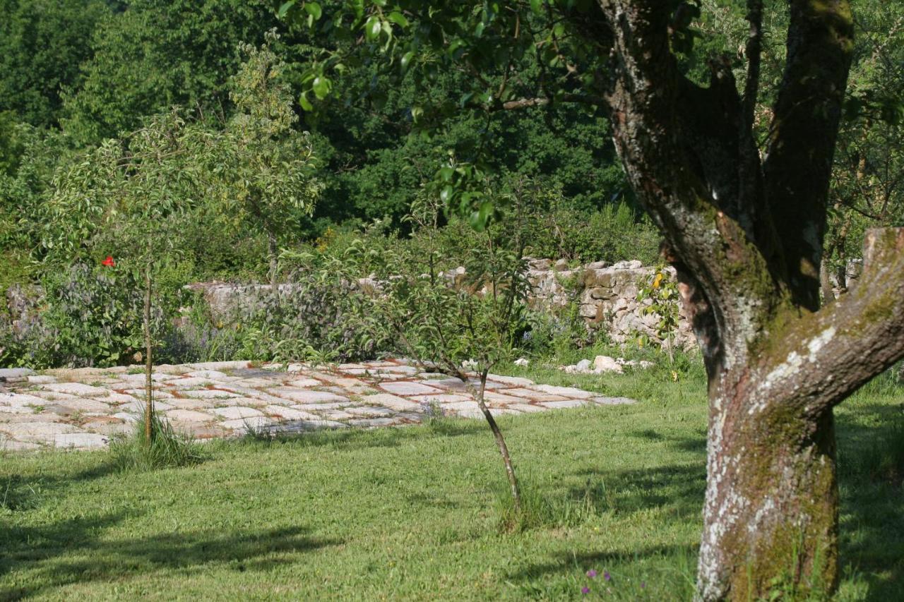 Pazo De Chaioso Ribeira Sacra Maceda Buitenkant foto